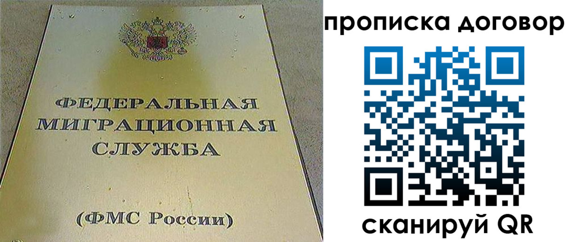 прописка паспорт в Новомосковске